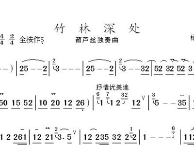 竹林深处 葫芦丝独奏曲
